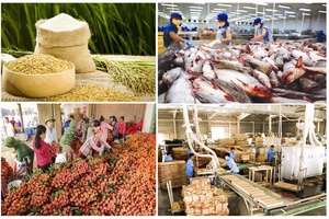 Xuất khẩu nông lâm thủy sản tiếp tục giữ đà tăng trưởng