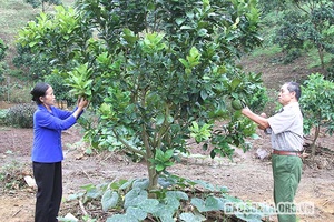 Câu chuyện của một thương binh “tàn nhưng không phế”