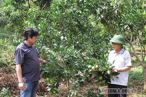 Điểm tựa cho nông dân trên bước đường hội nhập