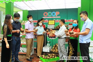 Quảng bá, giới thiệu và tiêu thụ sản phẩm Khoai sọ Thuận Châu 