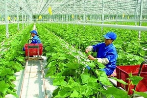 Phát triển hợp tác xã sẽ tạo ra sức mạnh đa chiều phát triển kinh tế
