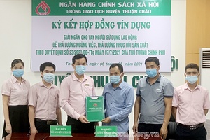Hỗ trợ doanh nghiệp, HTX ổn định sản xuất