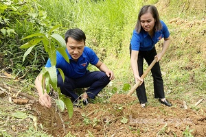 Tập huấn tuyên truyền bảo vệ môi trường và ứng phó với biến đổi khí hậu năm 2021