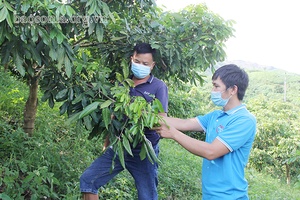 Tà Lại phát huy nội lực xây dựng nông thôn mới