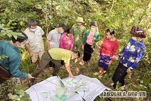 Sẽ chỉ còn chủ rừng là cộng đồng