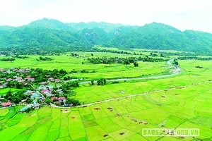 Chia sẻ yêu thương