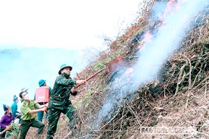 Diễn tập ứng phó cháy rừng - tìm kiếm cứu nạn xã Dồm Cang năm 2021