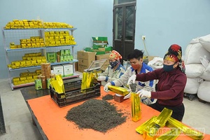 Nâng cao năng lực quản trị, hiệu quả hoạt động các HTX nông nghiệp