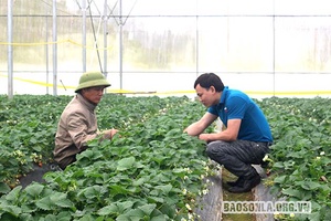 Quản lý, truy xuất minh bạch và kết nối thị trường nông sản bằng eGap