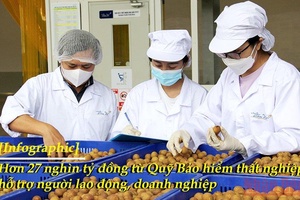 [Infographic] Hơn 27 nghìn tỷ đồng từ Quỹ Bảo hiểm thất nghiệp hỗ trợ người lao động, doanh nghiệp