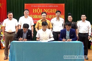 Thí điểm mô hình HTX tại bản ở Chiềng Sung