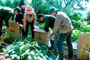 Sặp Vạt đi đầu phong trào xây dựng xã hội học tập 