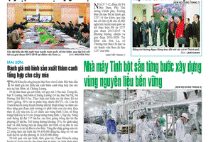 Báo Sơn La, Thứ 8 ngày 3-12-2015