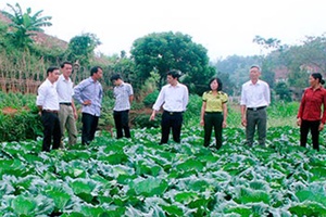 Tăng cường kiểm tra chất lượng an toàn thực phẩm 