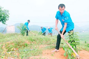 Những trí thức trẻ tình nguyện Dự án 174 