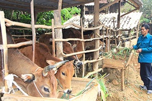 Tiếp sức cho đồng bào vùng đặc biệt khó khăn