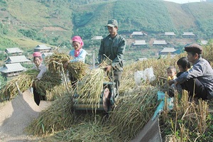 Trên quê mới A Má