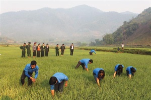 “Áo xanh tình nguyện” thắp sáng vùng biên