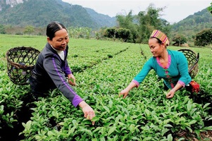 Tránh đầu tư dàn trải, lãng phí trong xây dựng nông thôn mới