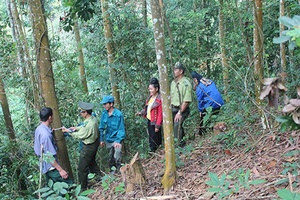 Tăng cường cán bộ cho cơ sở