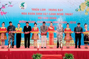 Triển lãm - Trưng bày “Hoa xuân, sinh vật cảnh nghệ thuật” và sách, báo, tạp chí mừng Đảng, mừng xuân