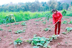 Yên Châu đào tạo nghề cho lao động nông thôn