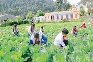 Yên Châu: 2.118 học sinh ăn bán trú tập trung