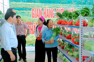 Công bố nhãn hiệu chứng nhận sản phẩm rau an toàn Mộc Châu