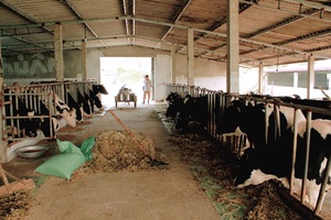 Khai thác tiềm năng, thế mạnh  đẩy mạnh phát triển kinh tế vùng