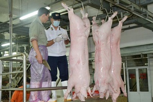 Hà Nội sẽ xử lý dứt điểm việc buôn bán, sử dụng chất cấm trong chăn nuôi