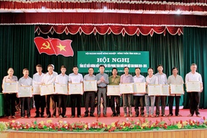 Tổng kết biểu dương điển hình tiên tiến phong trào nuôi ong mật giai đoạn 2010-2015