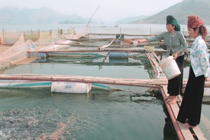 Hội thảo về phát triển kinh tế vùng lòng hồ Thủy điện Sơn La giai đoạn 2015-2020, tầm nhìn 2030
