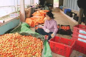 Tăng cường các biện pháp đảm bảo an toàn thực phẩm