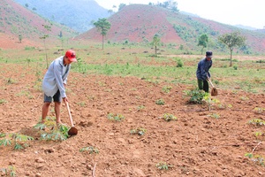 Mường Khiêng chú trọng  công tác xây dựng Đảng