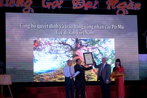 Quảng Nam: Khởi động Năm du lịch Tây Giang 2016