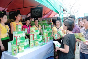 Nơi hội tụ của những người sản xuất chè Mộc Châu