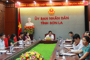 Hội nghị trực tuyến toàn quốc sơ kết 5 năm thực hiện Kế hoạch hành động phát triển y, dược học cổ truyền Việt Nam đến năm 2020
