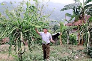 Bí thư Chi bộ tận tâm với việc bản