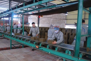 Tháng 5 ở Phù Yên