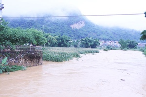Thành phố, Thuận Châu: Mưa lũ gây thiệt hại về tài sản và hoa màu