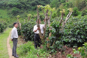 Phong trào thi đua “Dân vận khéo” ở Đảng bộ Thuận Châu