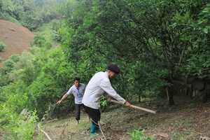 Về bản văn hóa Lọng Tòng