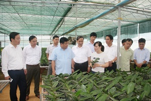 Bộ trưởng Bộ Kế hoạch và Đầu tư thăm và làm việc tại tỉnh ta