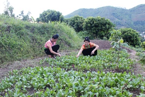 Hướng thoát nghèo bền vững cho Huổi Một