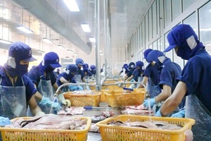 Xuất khẩu thủy sản phục hồi trong 5 tháng đầu năm
