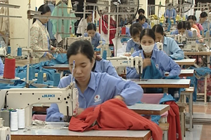 Lập Hội đồng quốc gia về an toàn, vệ sinh lao động