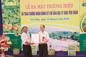 Yên Châu: Ra mắt thương hiệu và trao Chứng nhận đăng ký chỉ dẫn địa lý xoài tròn Yên Châu