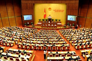 Ủy ban về các vấn đề xã hội cần tiếp tục góp phần thúc đẩy tiến bộ và công bằng xã hội