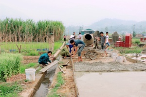 Cựu chiến binh xã Nà Nghịu tham gia xây dựng nông thôn mới