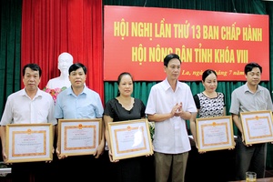 Hội Nông dân tỉnh: Hội nghị Ban Chấp hành lần thứ 13, khóa VIII